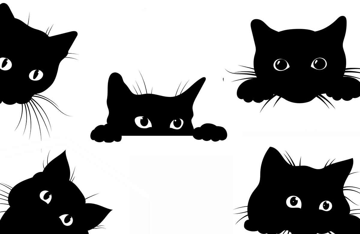 Test personalità: scegli uno dei gatti neri e scopri cosa rivela di te e del tuo modo di relazionarti con gli altri