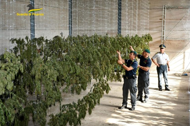 guardia di finanza maxi sequestro