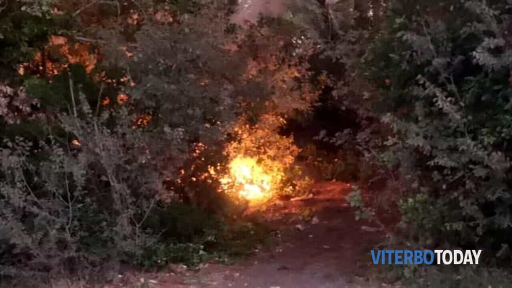 incendio a montalto di castro