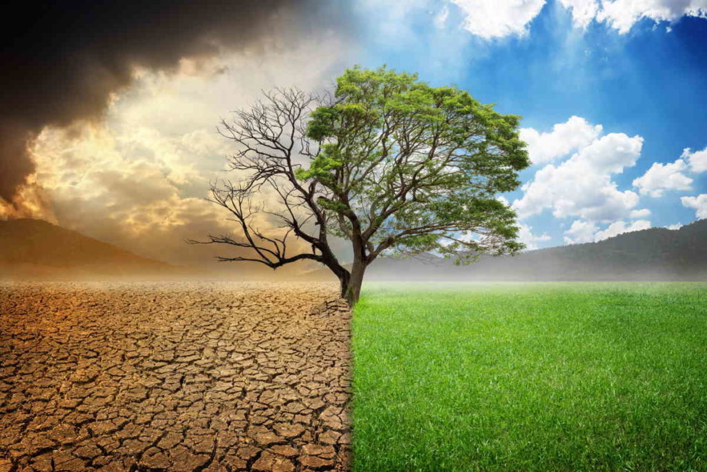 natura in tilt 2022