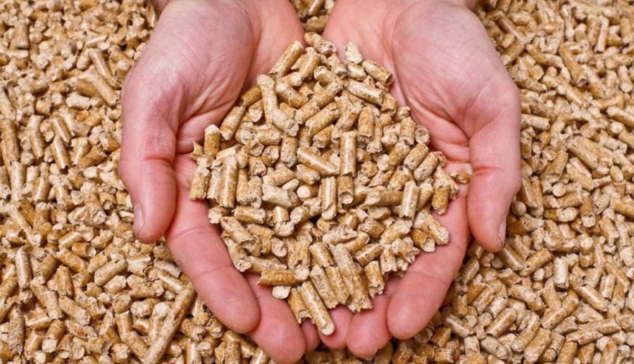 Mercato del pellet, Udicon: “Attenzioni alle truffe su internet” 1 pellet geotre