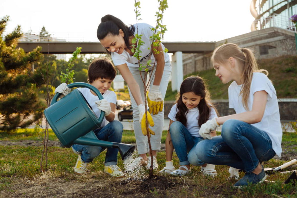 piantumazione alberi scuole