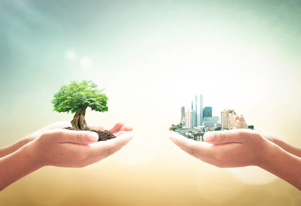 professioni green economy