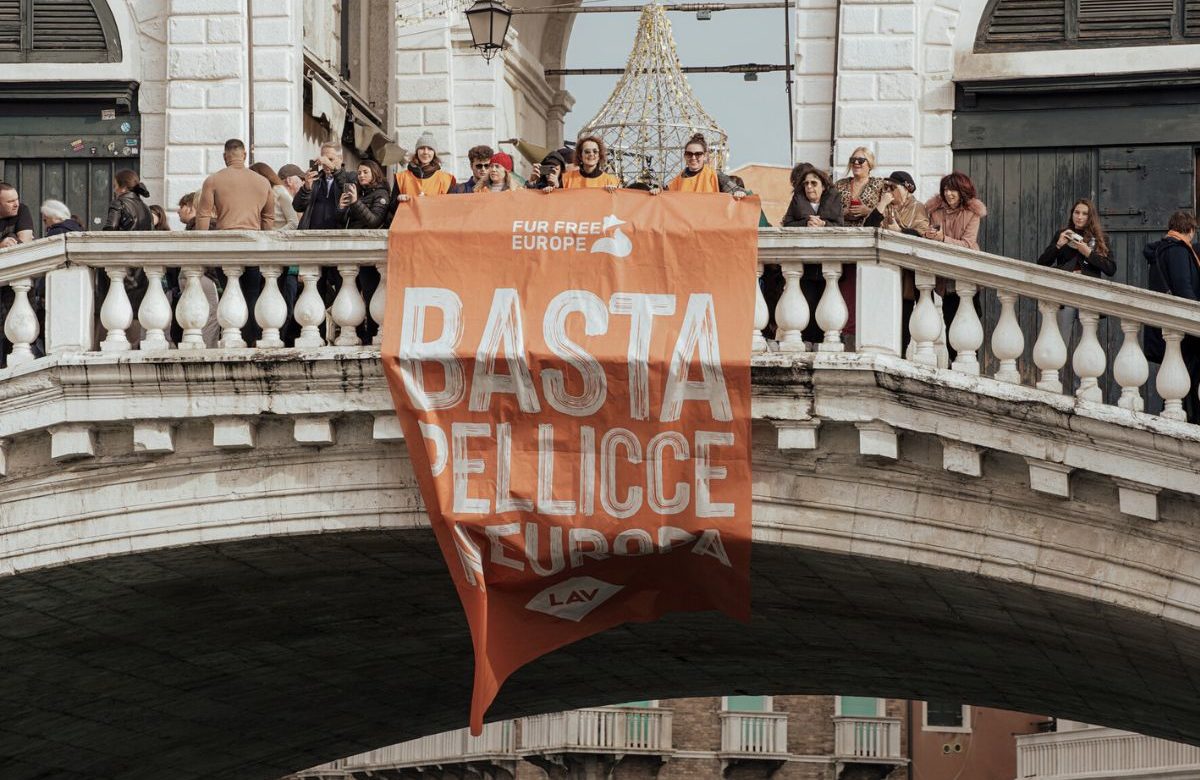 “Basta pellicce in Europa”: gli attivisti di LAV occupano il Ponte di Rialto per dire stop alla sofferenza degli animali