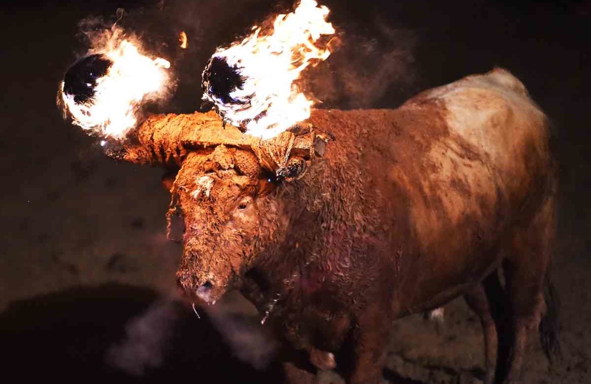 Toro Jubilio, la barbarica e sanguinaria tradizione spagnola che porta al supplizio tra le fiamme