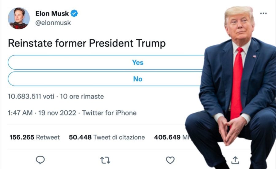 Torna Trump? Musk per ora ha comprato l’algoritmo ma non i follower 1 trump musk
