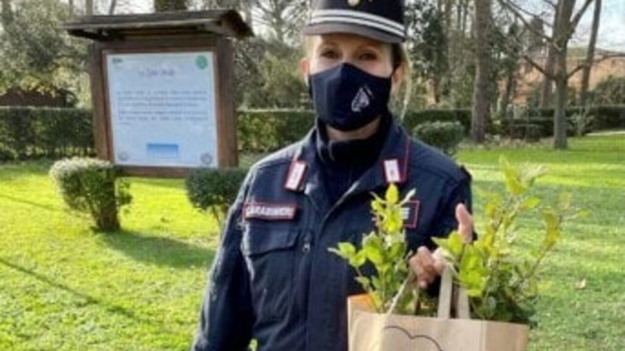 un albero per il futuro