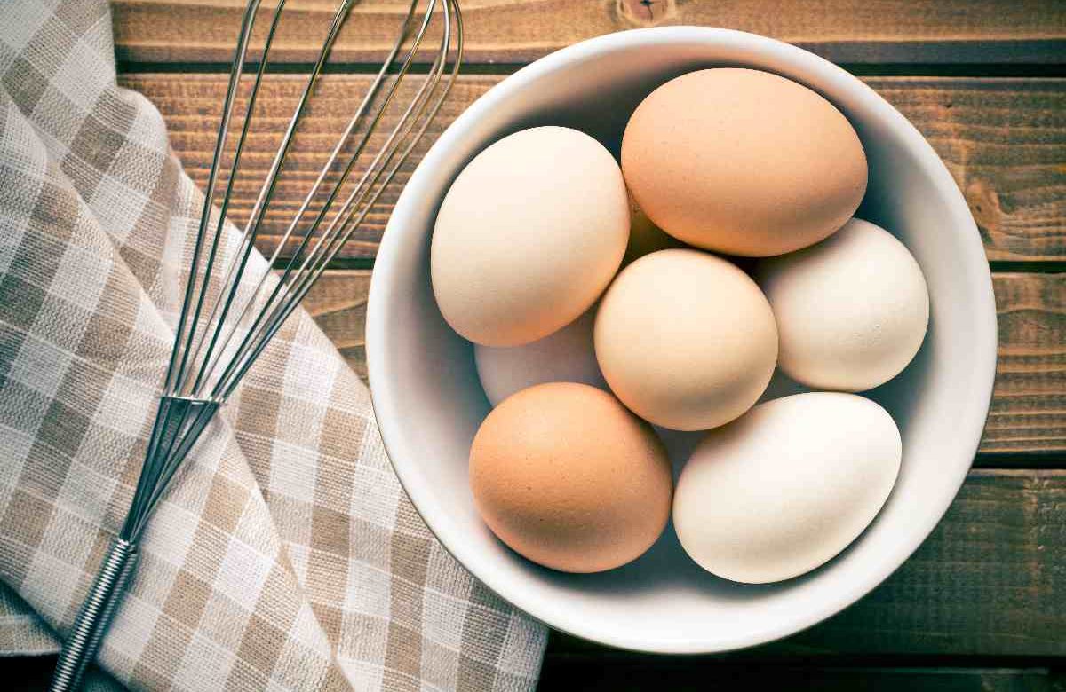 Contrordine! Mangiare un uovo al giorno non fa aumentare il colesterolo e ha benefici inaspettati sul cuore