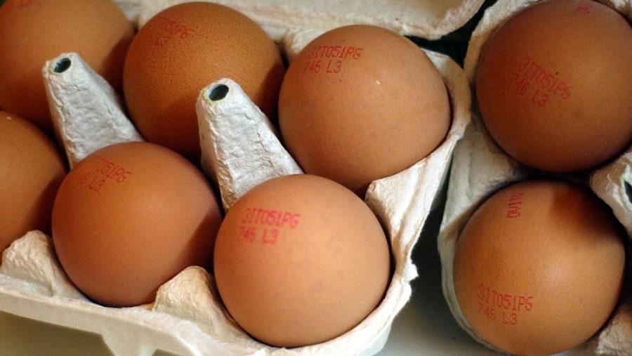 Rischiamo di non avere più uova a causa dell’influenza aviaria?