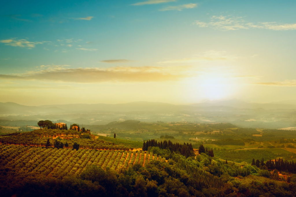 vigneti toscana