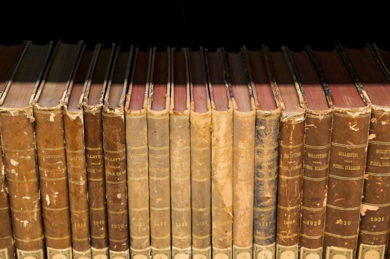 Imagoeconomica 1713705
