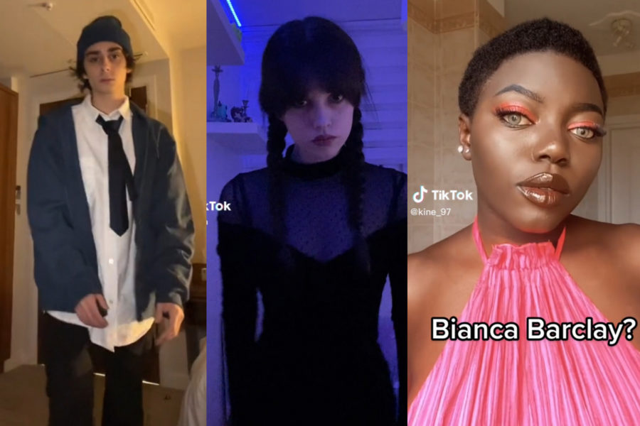 Mercoledi sosia tiktok