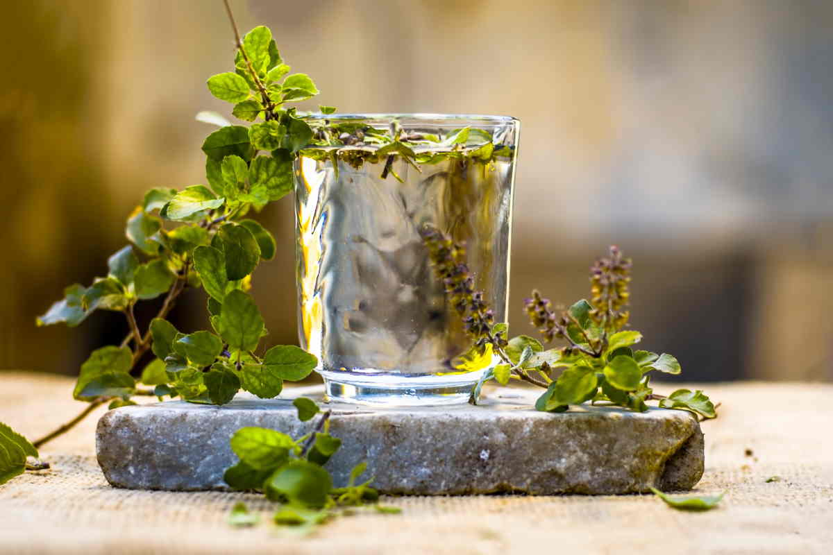 acqua di tulsi