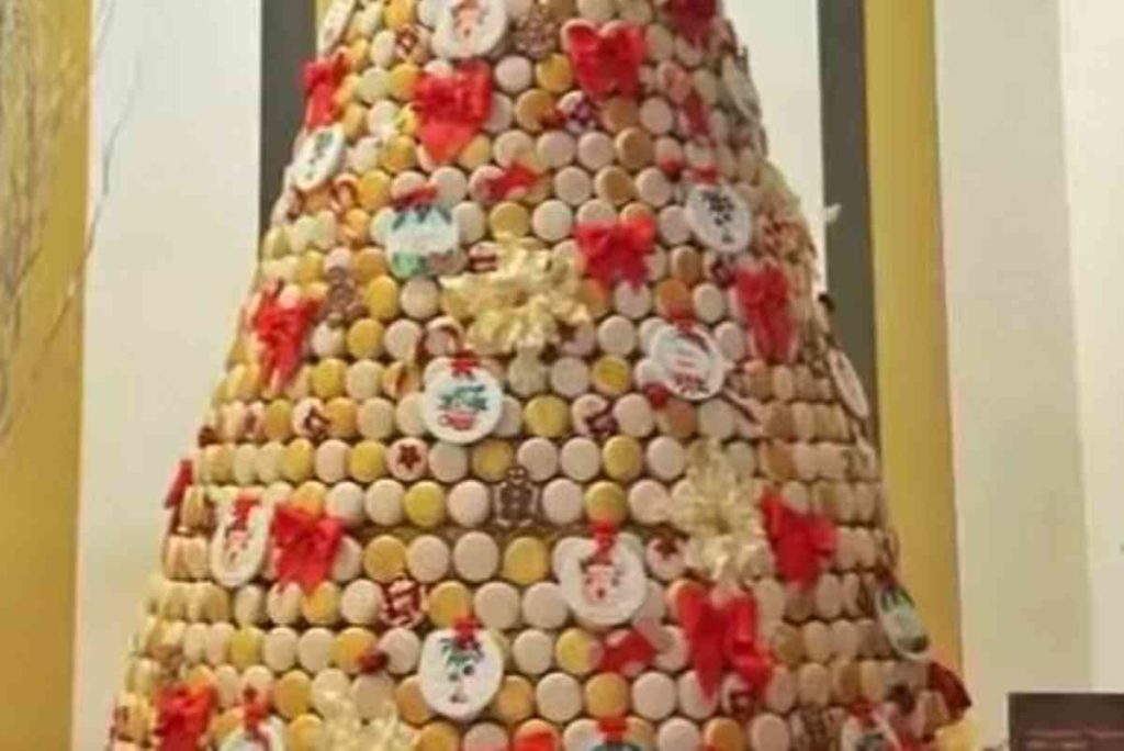 albero 1