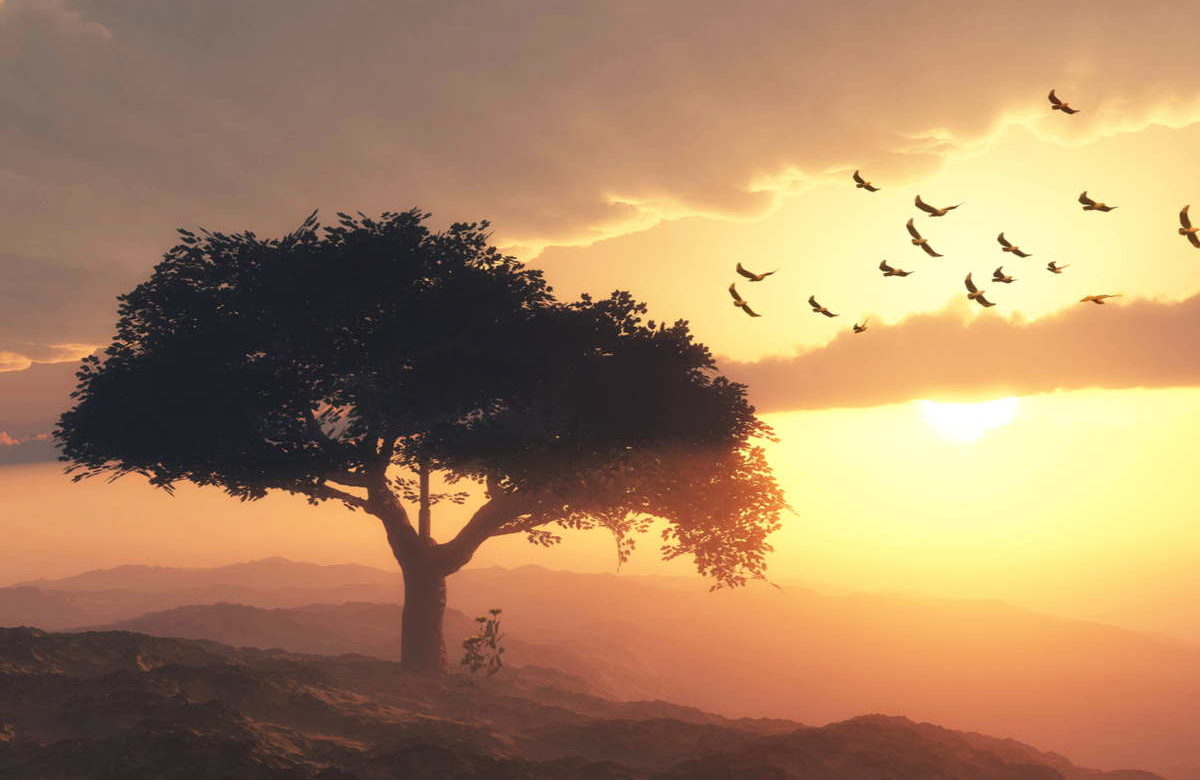 Il testamento di un albero: la toccante poesia di Trilussa che ci insegna la generosità