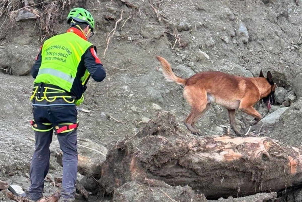 cani unita cinofile ischia