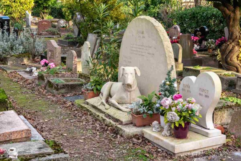 cimitero animali