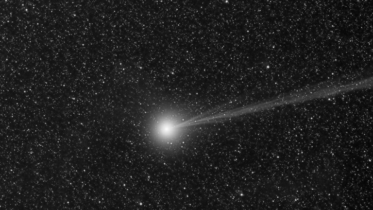 cometa portrait