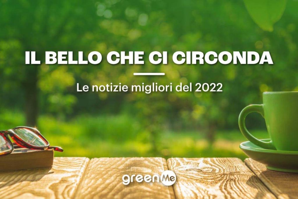 cover articolo news 2022