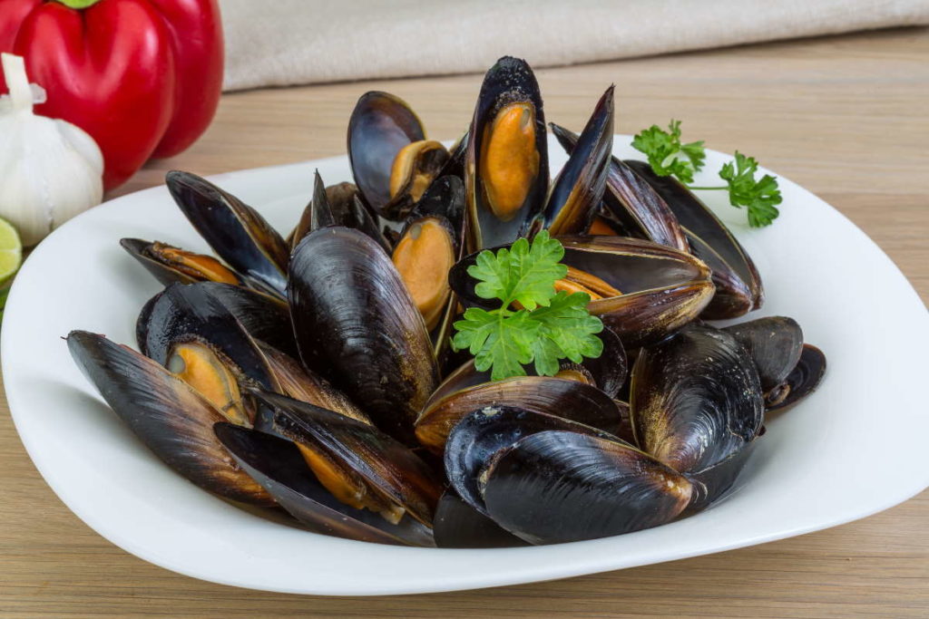 cozze