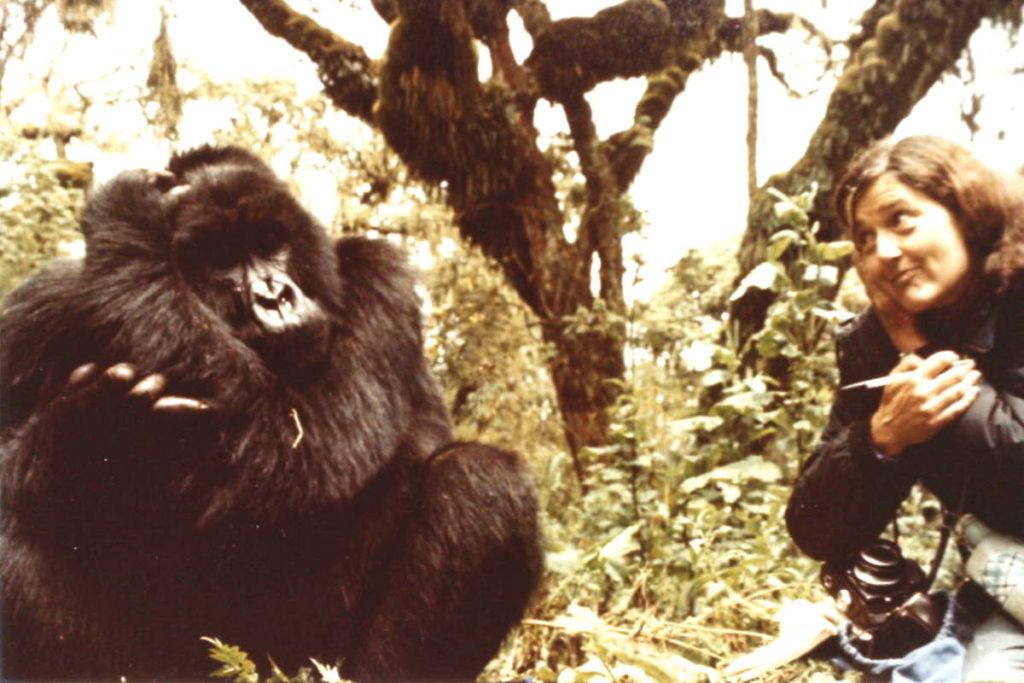 dian fossey