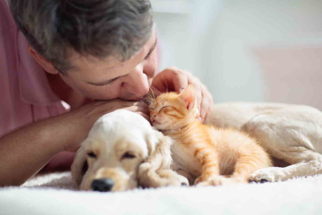 diritto privato animale corso torino