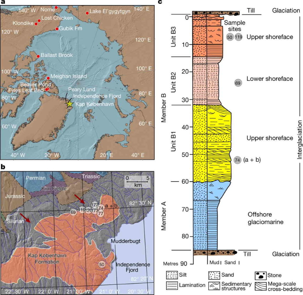 dna antico 2 milioni di anni