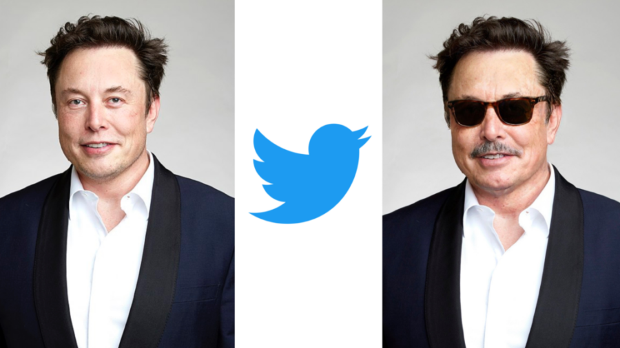 elon musk nole ceo twitter 1 1024x576 1