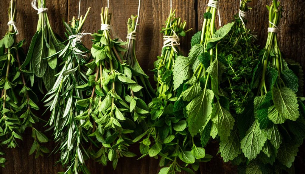 erbe aromatiche