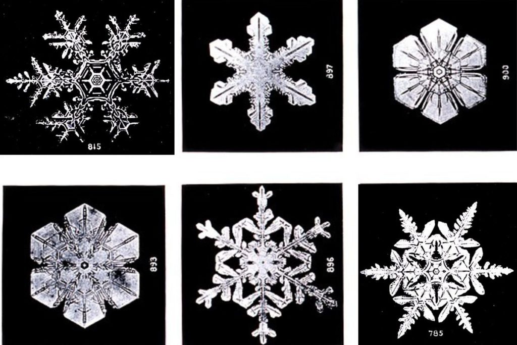 fiocchi di neve