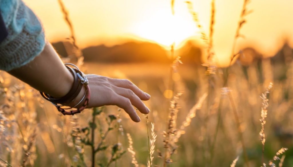 il senso della vita frasi