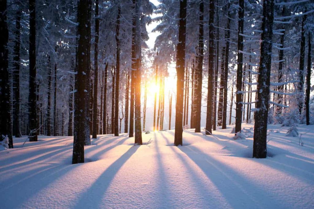 inverno 1