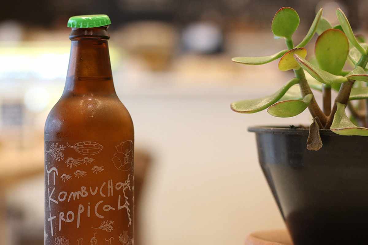 kombucha