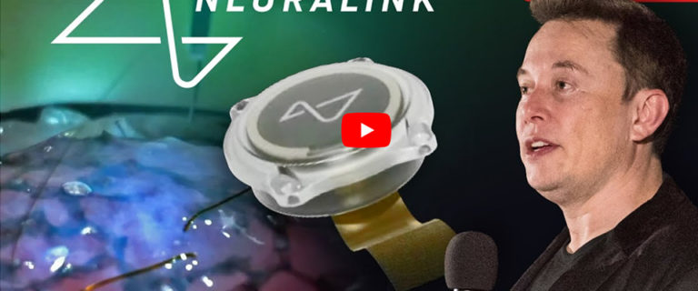 musk chip cervello