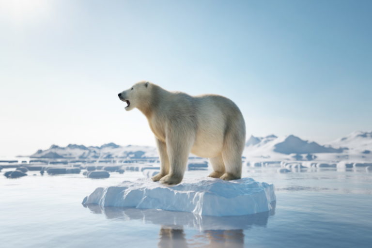 orso polare estinzione