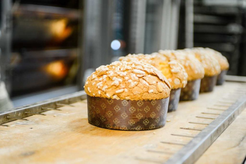 panettone laboratorio
