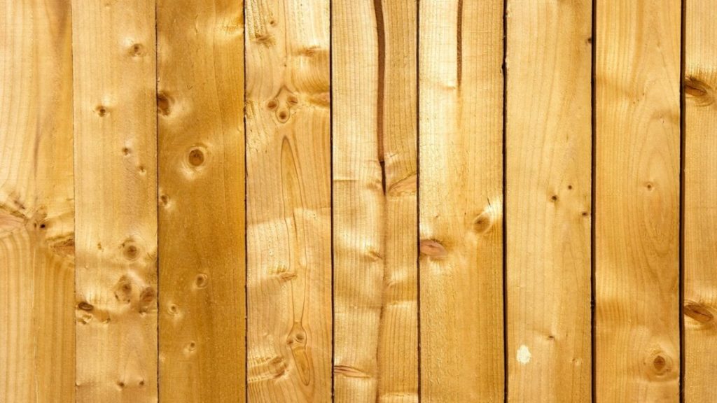 parquet legno foreste