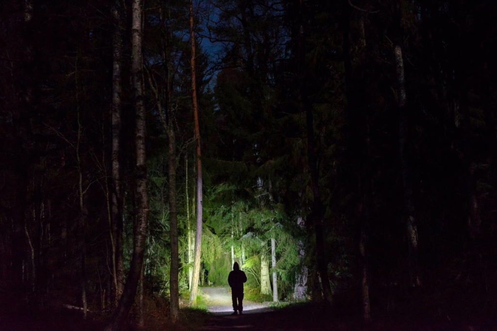 passeggiata notte bosco