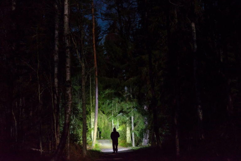 passeggiata notte bosco