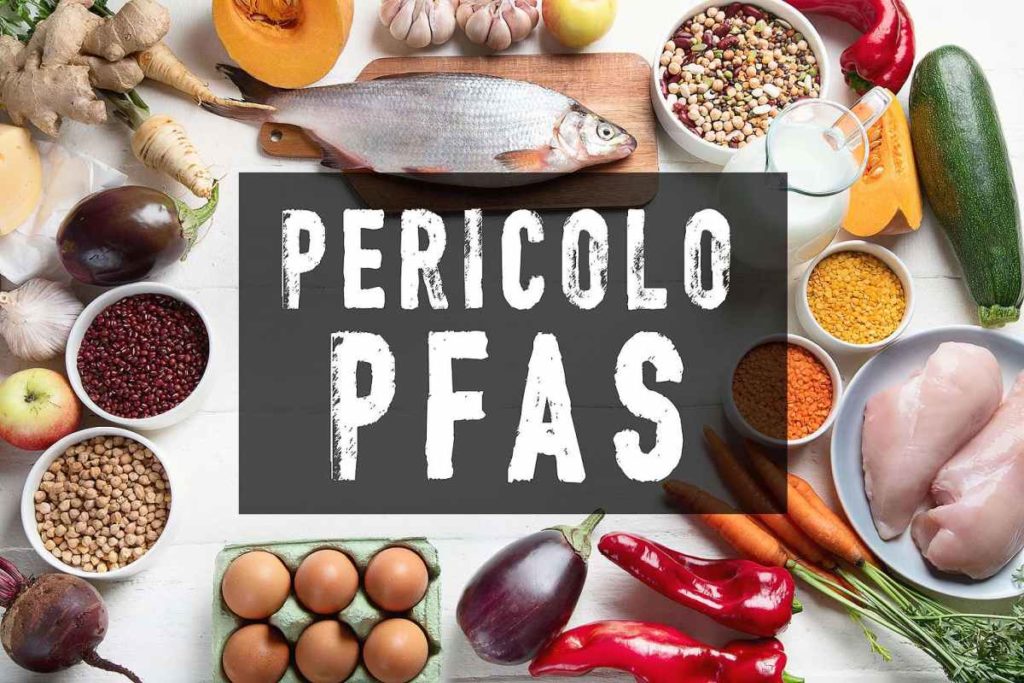 pericolo pfas veneto