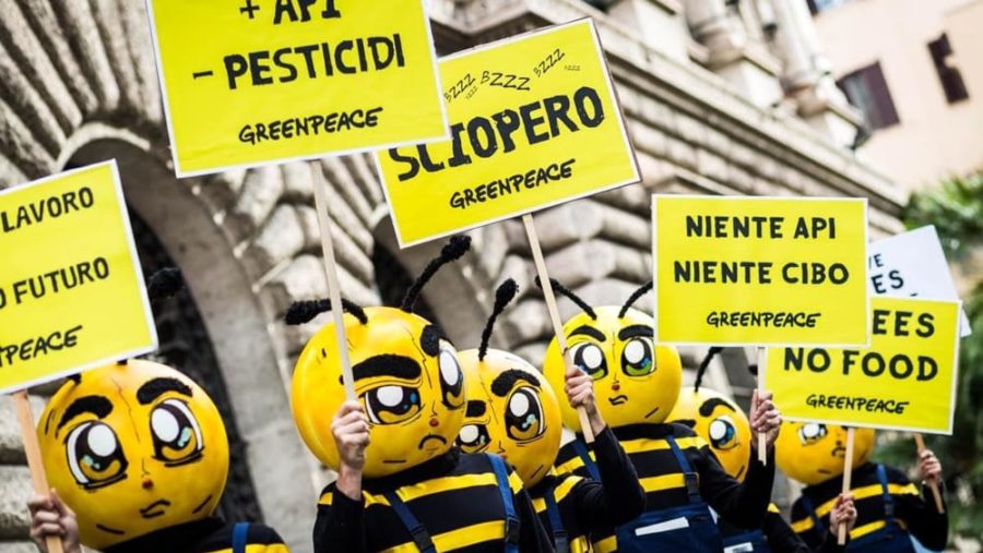 Le Ong accusano l’Italia: “Vuole affossare il nuovo regolamento di riduzione dei pesticidi”
