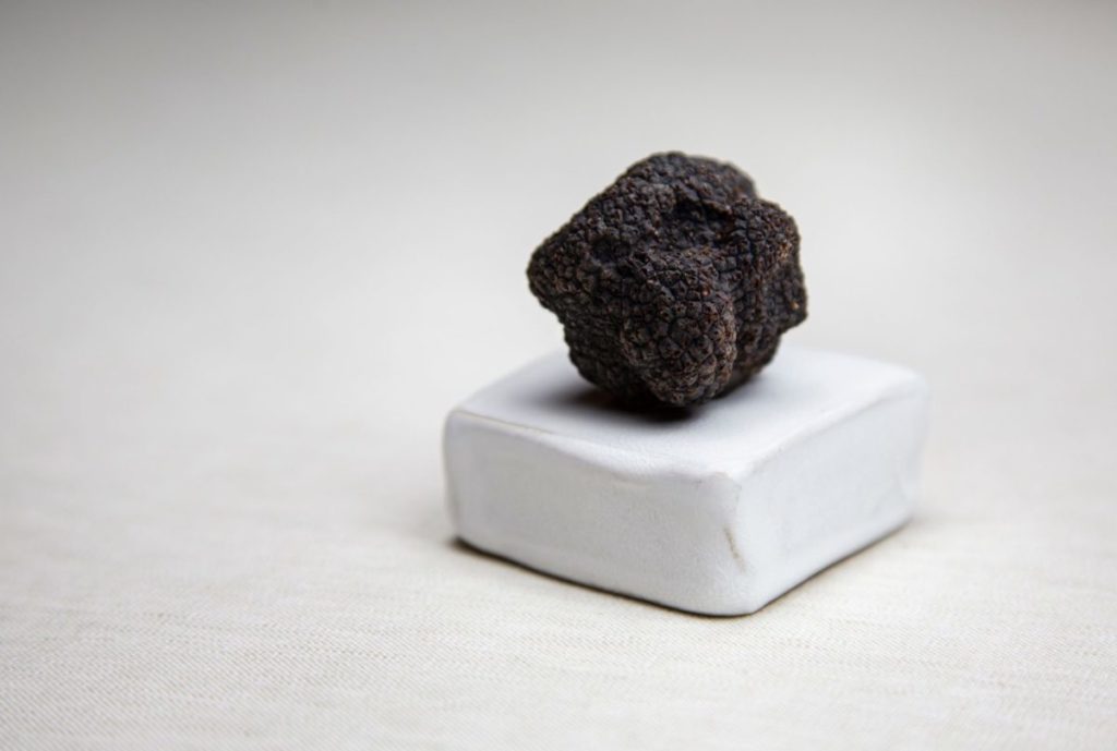 tartufo