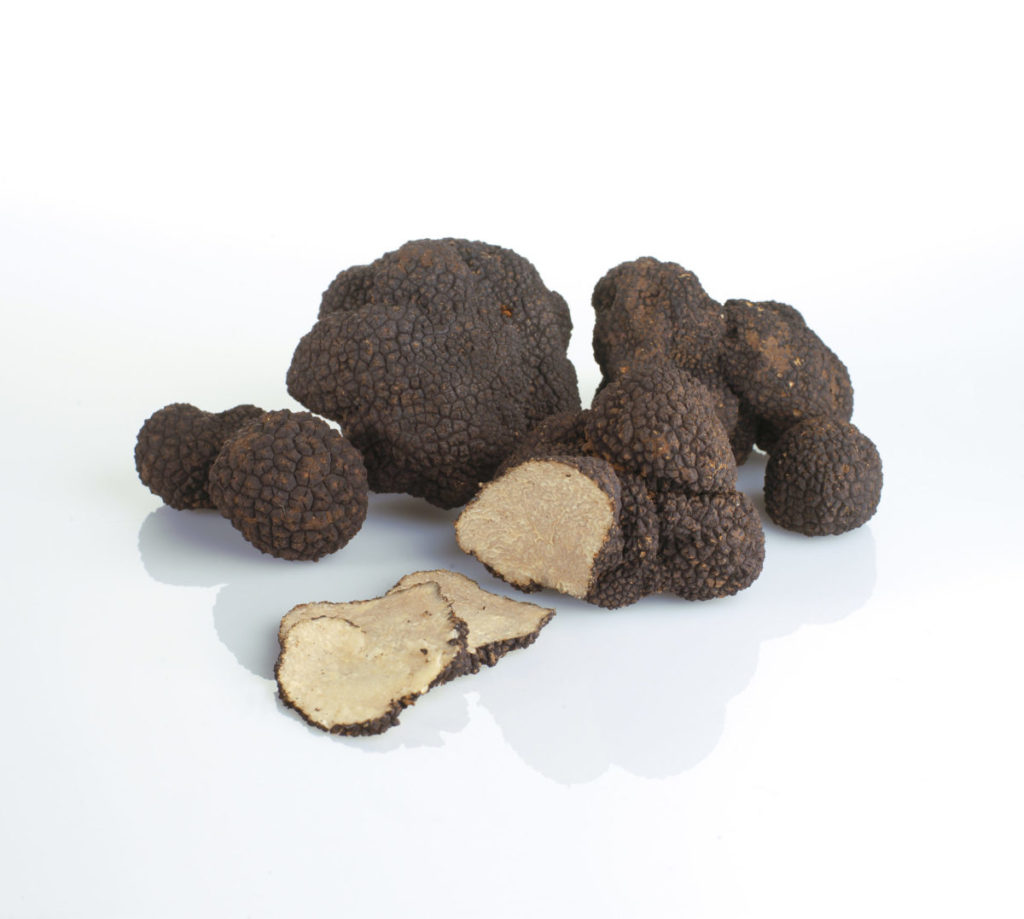 tartufo