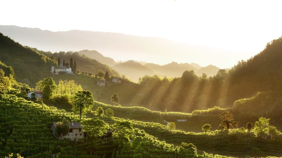 Colline del Prosecco Superiore