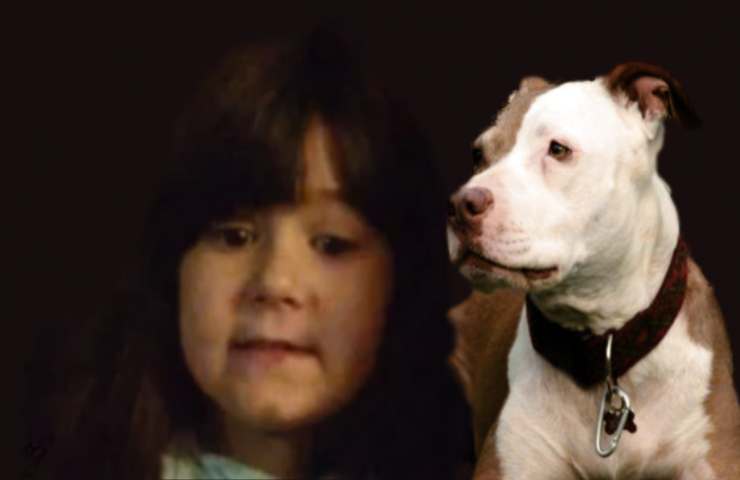 La bambina sbranata dal pitbull 2