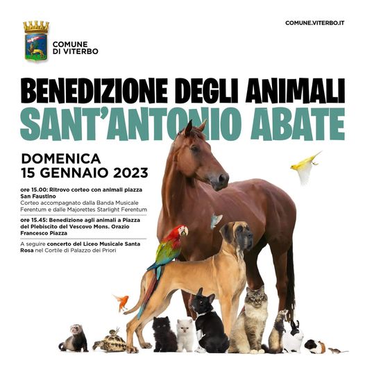 Viterbo – Benedizione degli animali del vescovo Piazza