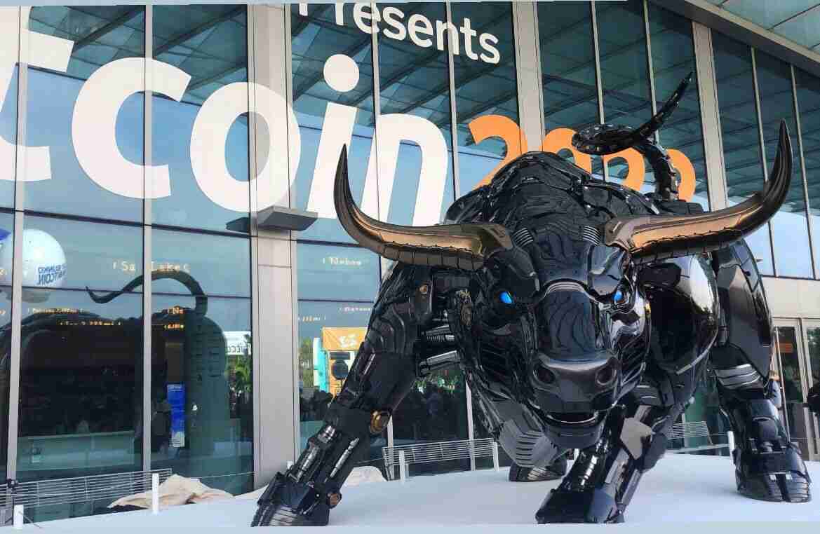 bull miami bitcoin