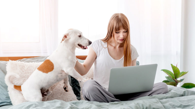 girl with dog and laptop in the bed 2023 01 06 06 47 24 utc