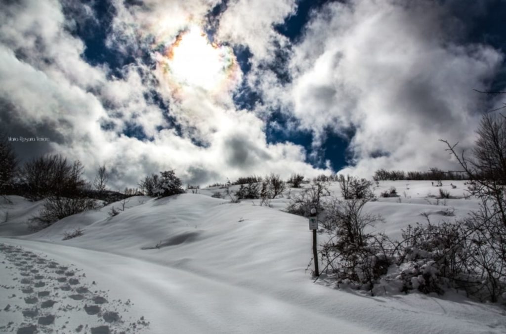 meteo neve