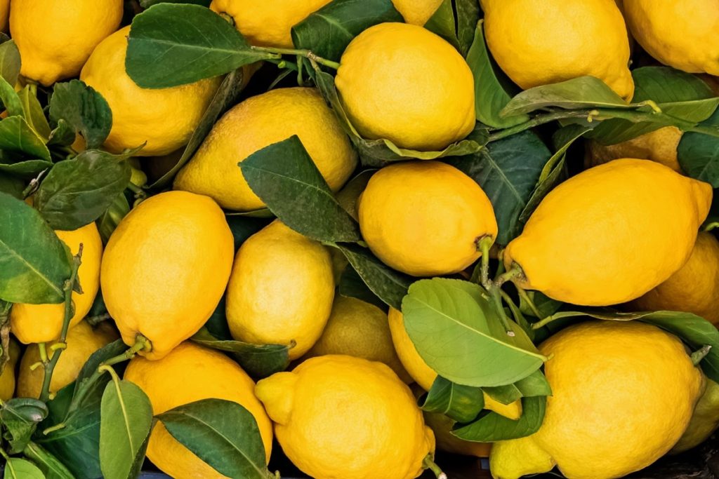 ricette con limoni